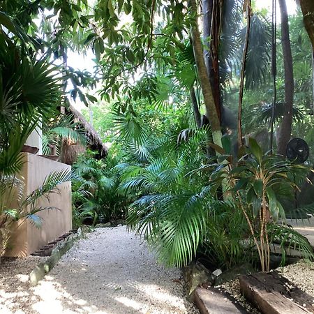 Yaxchen Tulum Cabanas & Cenote Екстериор снимка