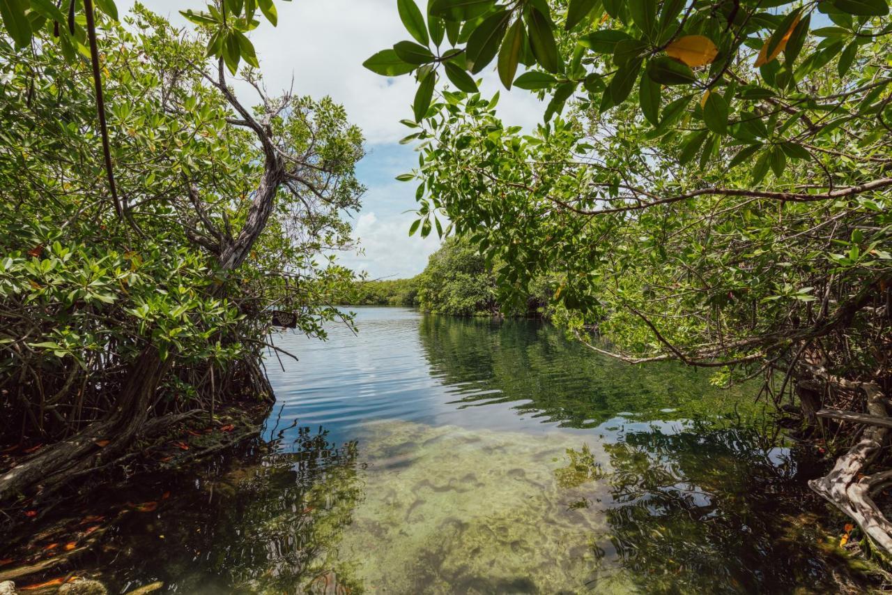 Yaxchen Tulum Cabanas & Cenote Екстериор снимка