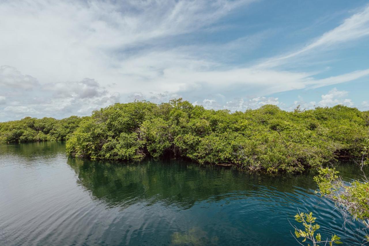 Yaxchen Tulum Cabanas & Cenote Екстериор снимка