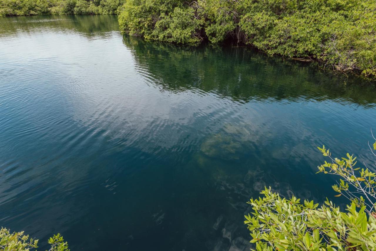 Yaxchen Tulum Cabanas & Cenote Екстериор снимка