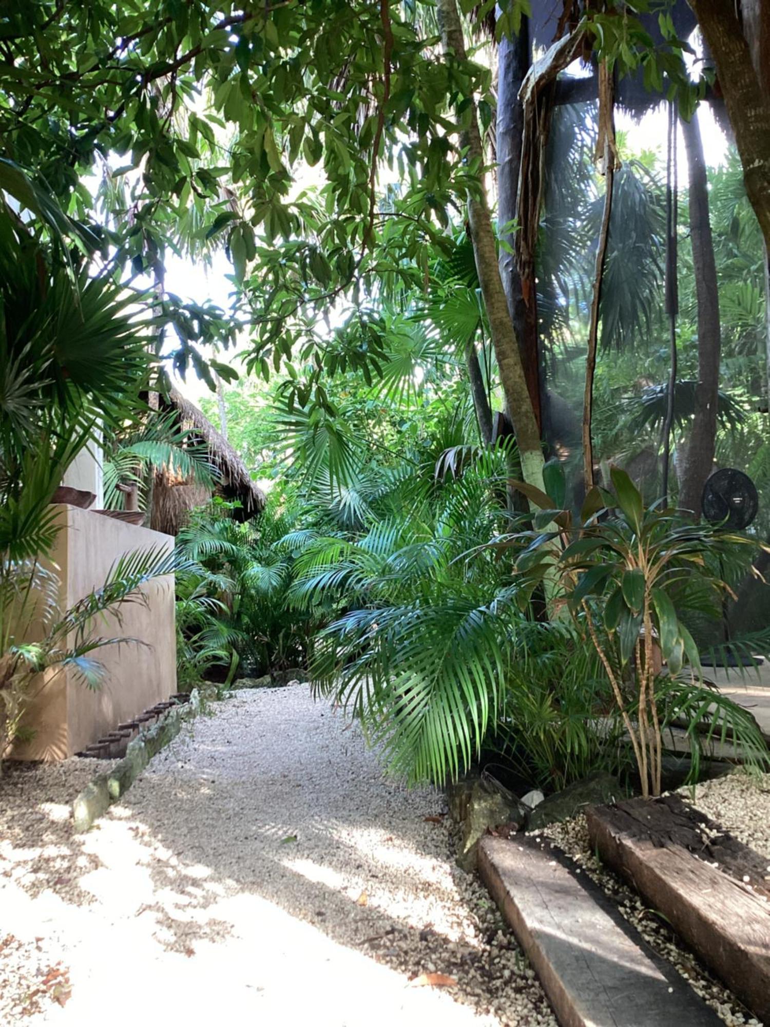 Yaxchen Tulum Cabanas & Cenote Екстериор снимка